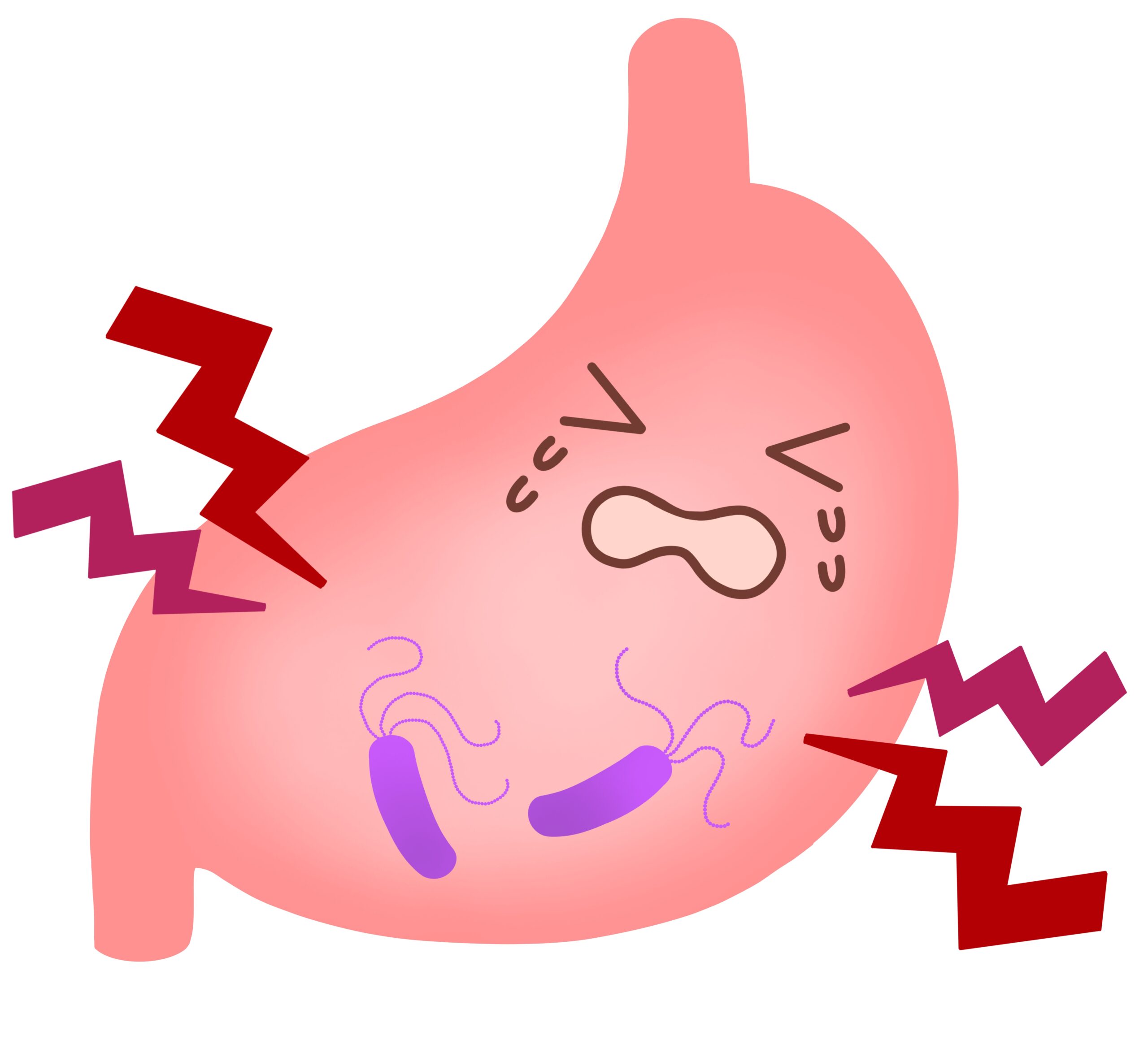 ピロリ菌とは？20代・30代も要注意！将来の胃がん予防の第一歩は検査